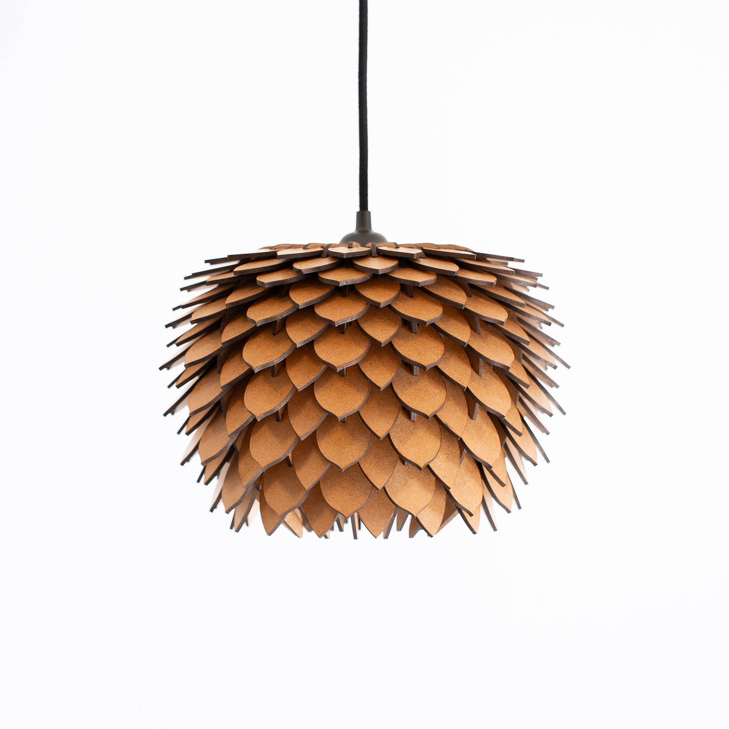 Protea mini – Raw