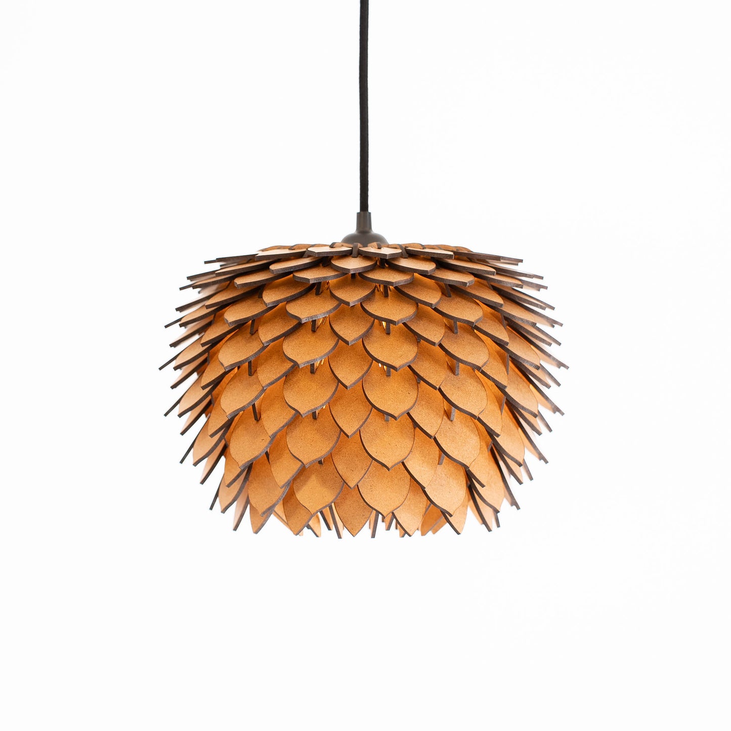 Protea mini – Raw