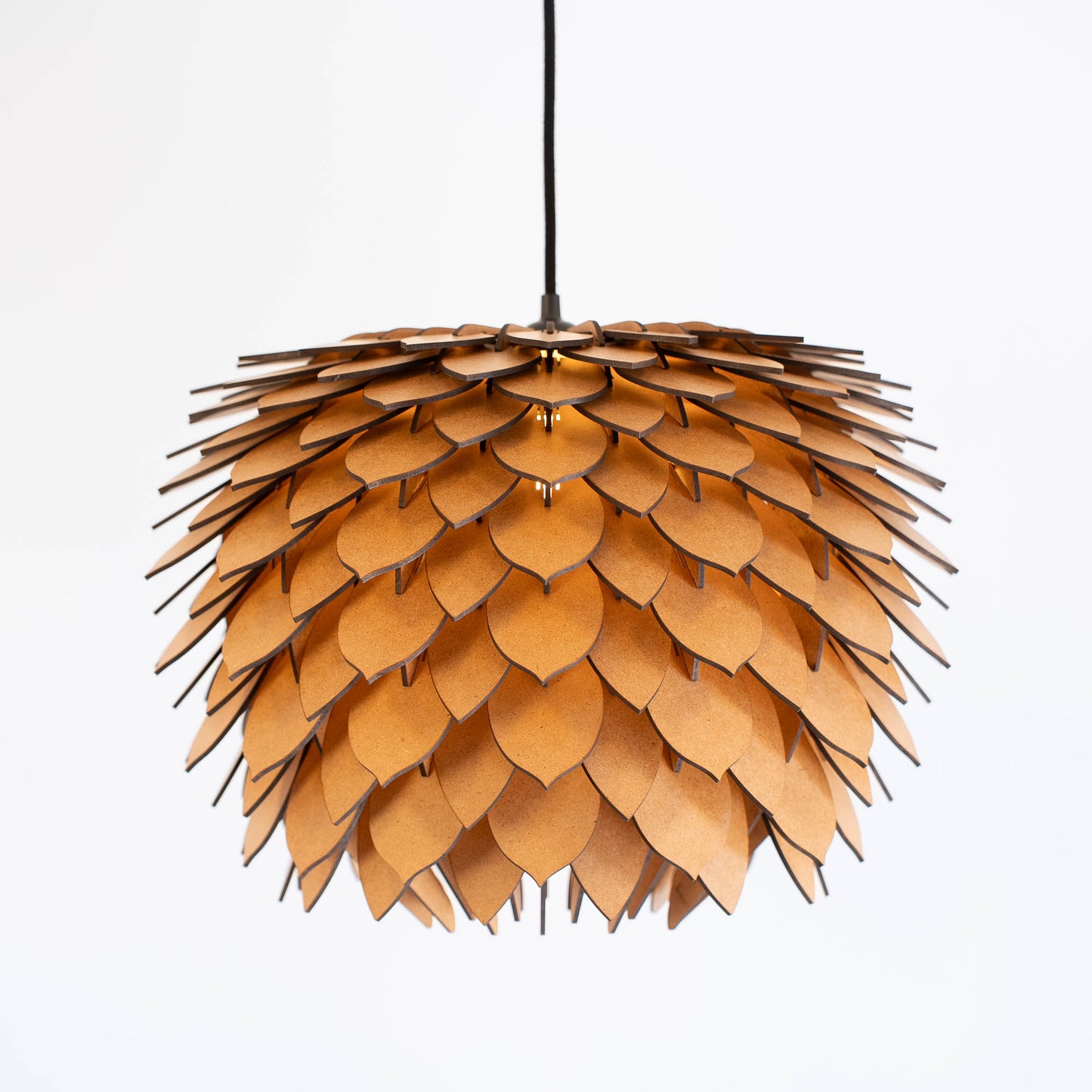 Protea – Raw