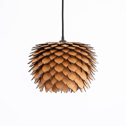 Protea mini – Raw
