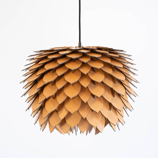 Protea – Raw
